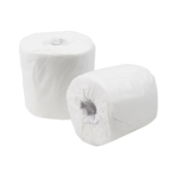 Toilet Paper